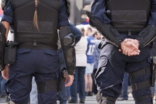 Мобильная группа быстрого реагирования